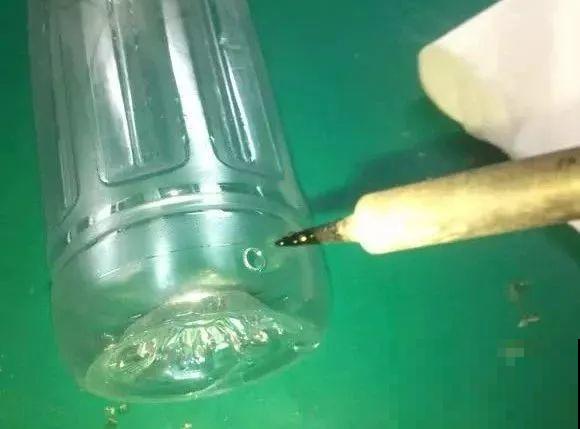 养花就得用些奇葩招，他每天给花灌酒、扎针，结果盆盆爆小崽！