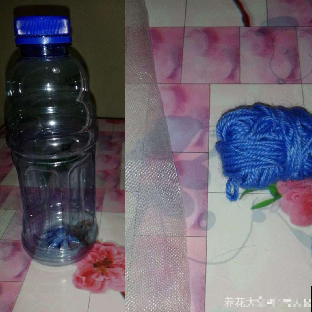 在养花人眼里，塑料瓶可是好宝贝，摇身一变成绿萝柱！