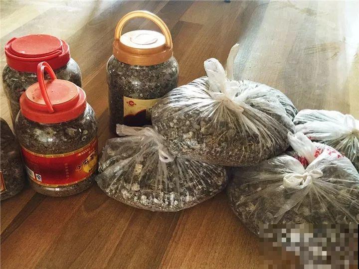 这肥劲儿真大，一小撮兑水里，10天花苞嘭嘭开！