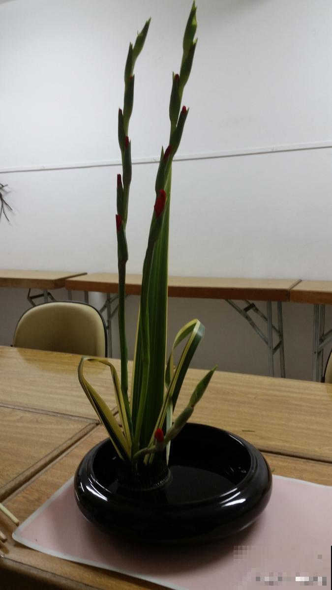 一叶兰多久开花？
