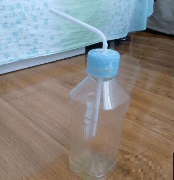 在养花人眼里，塑料瓶可是好宝贝，摇身一变成绿萝柱！