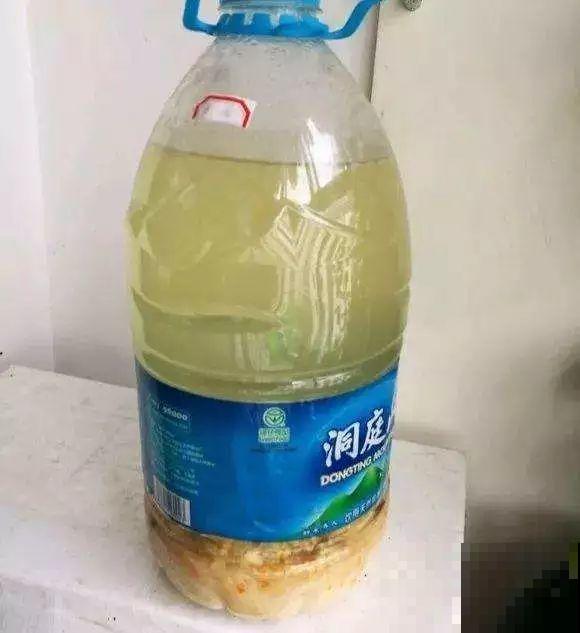啤酒能不能浇花？这个还真不好说，要看怎么浇水！