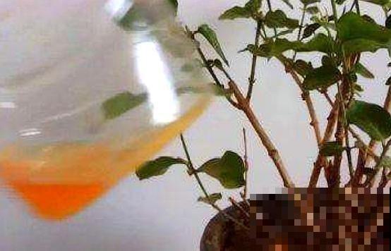 油烟机废油不能随便用，不注意这几点，一倒瞬间死！