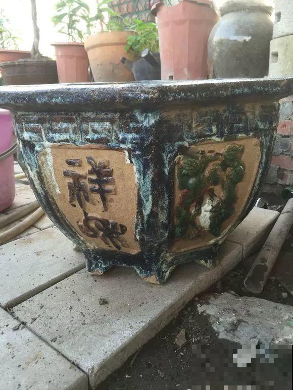 几十个高价花盆，被扔在垃圾桶旁，捡还是不捡？