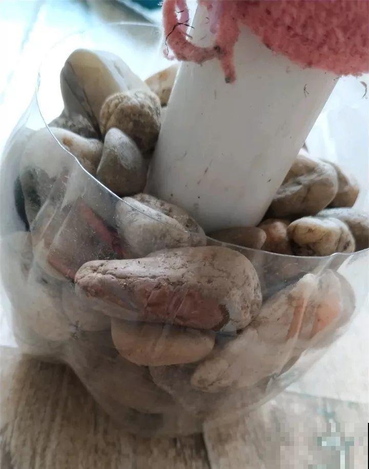 绿萝裹个旧毛巾，俩月能爬1米高，一片叶子脸盆大！