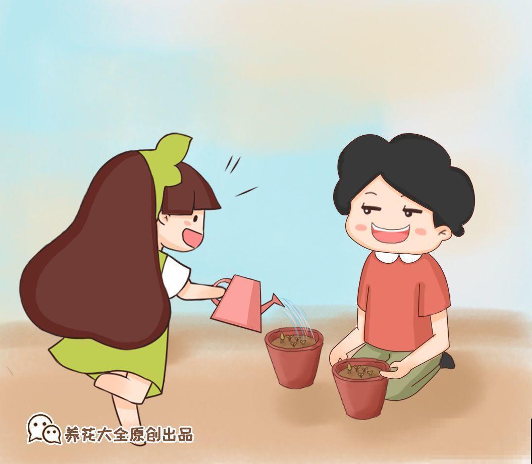 趁着孩子放假，家里的花就交给他们处理，省的天天手机不离手！