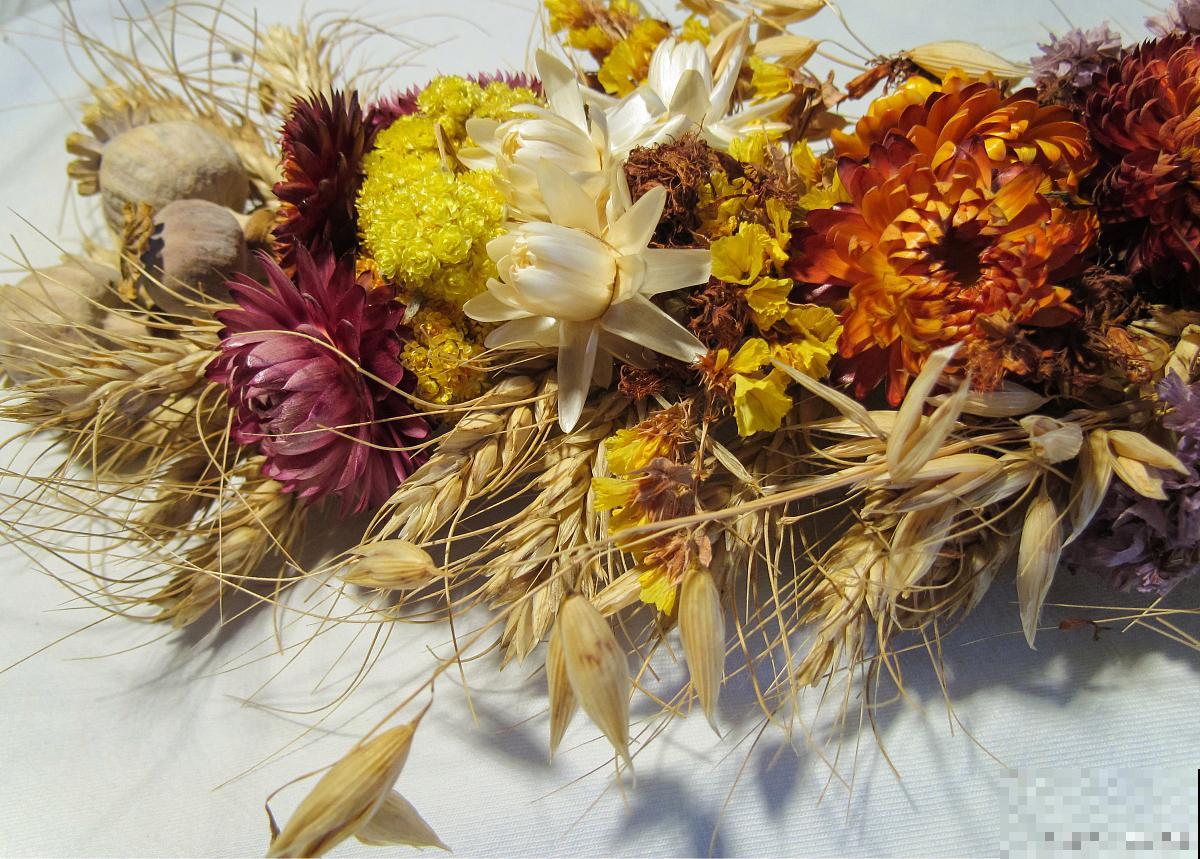 麦秆菊如何制作干花