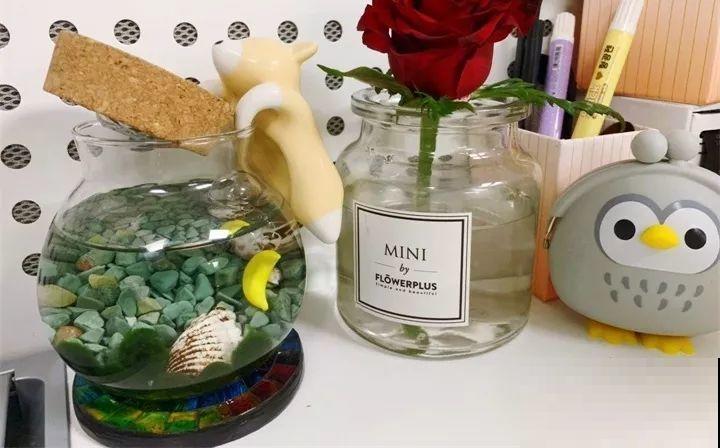 养了两个月的花，竟发现是假的？这些套路还真得摸清楚！