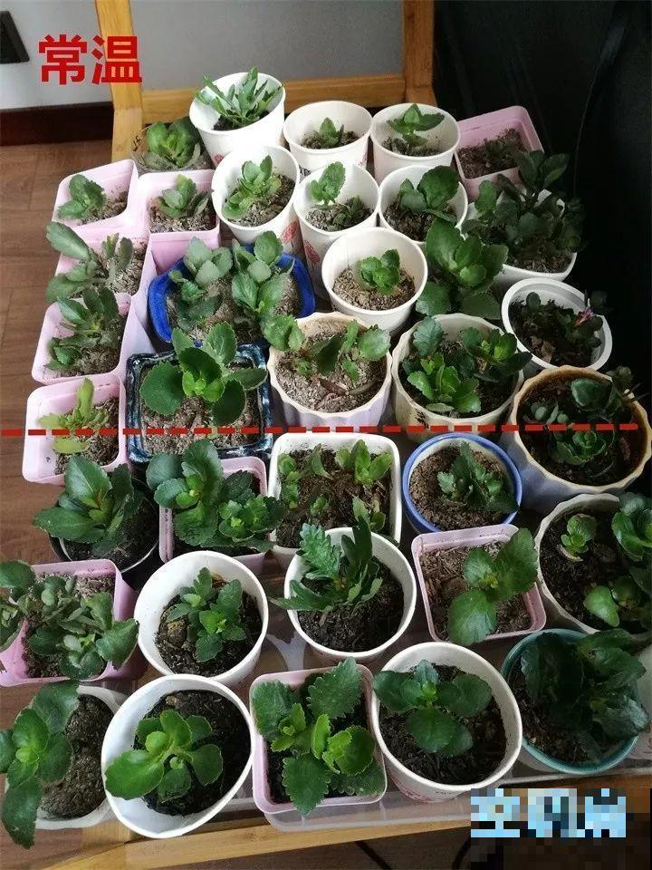 夏天养长寿，这4个雷区不能踩，不然3天就死光！