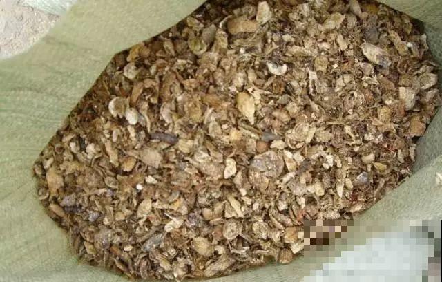 土里加点料，找个袋子捂一捂，秋天给花用了疯长狂开花！