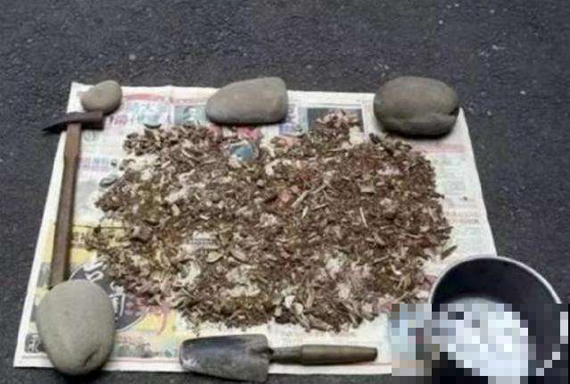 原来植物不开花是缺了这东西，赶紧补上，过两天就开满盆！