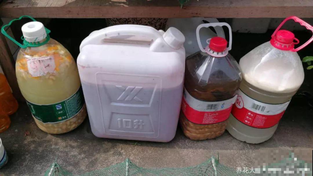 这花剪一茬开一茬，越晒花越多，整个夏天屋里都是香香的！