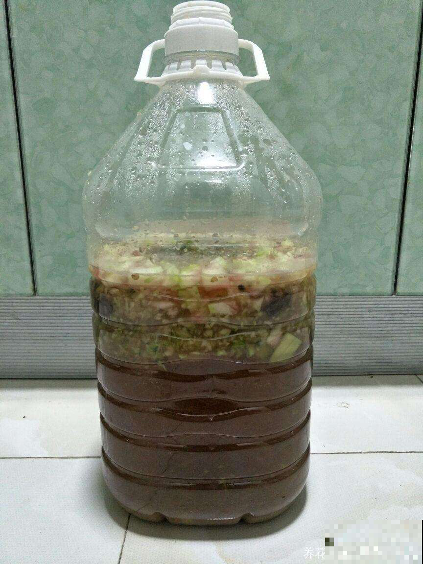 花原来也爱吃糖？闲着没事喂它点，发了疯一样窜到房顶！