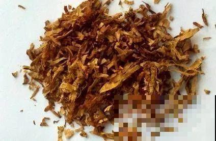 1把蚊香灰撒盆里，虫子全死光，花越长越壮！