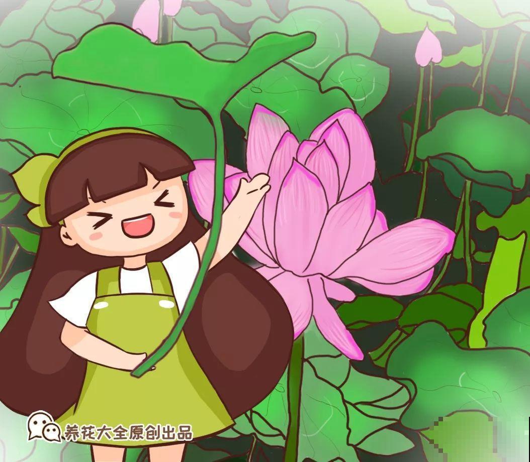 养了2年的仙人球，一根茎上开出两朵花，运气也太好了！