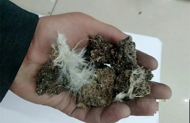 周末去这儿转一转，花和花盆随便捡，赚大发了！