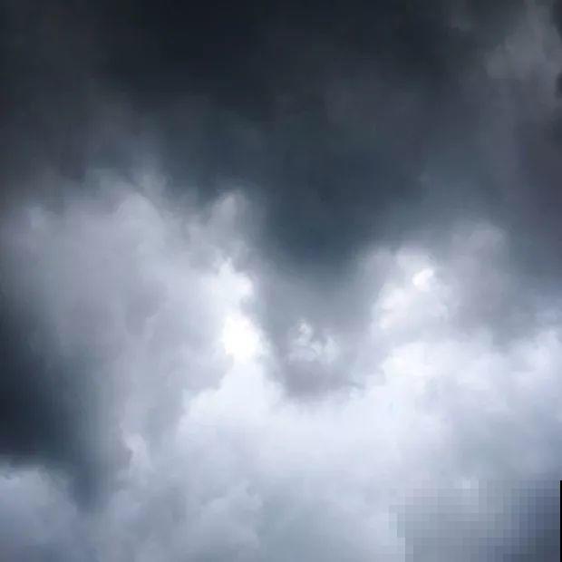 前有暴雨、后有台风，多肉泡水还有救不？