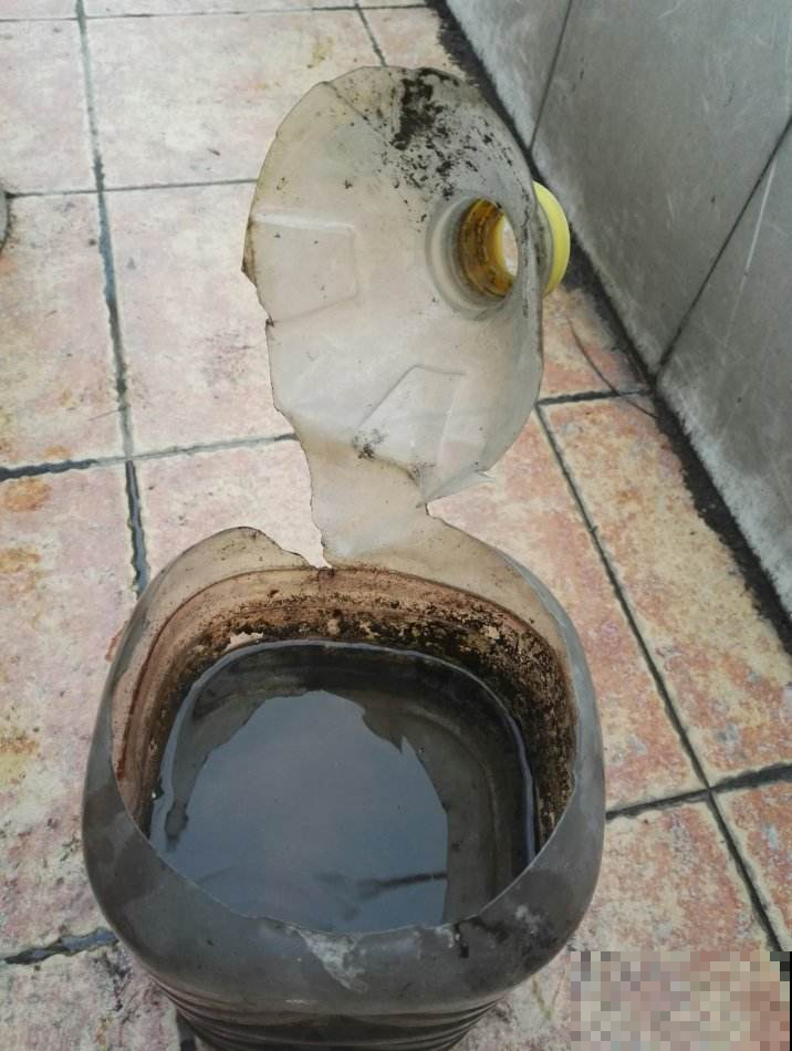 盆里挖个坑，埋上这种饼，黄叶枯叶立马消失不见！