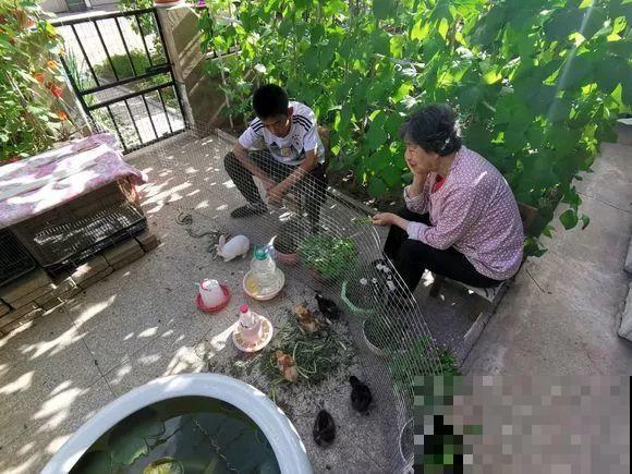 羡慕家里有小菜园的，盛夏季节，通通都爆发！