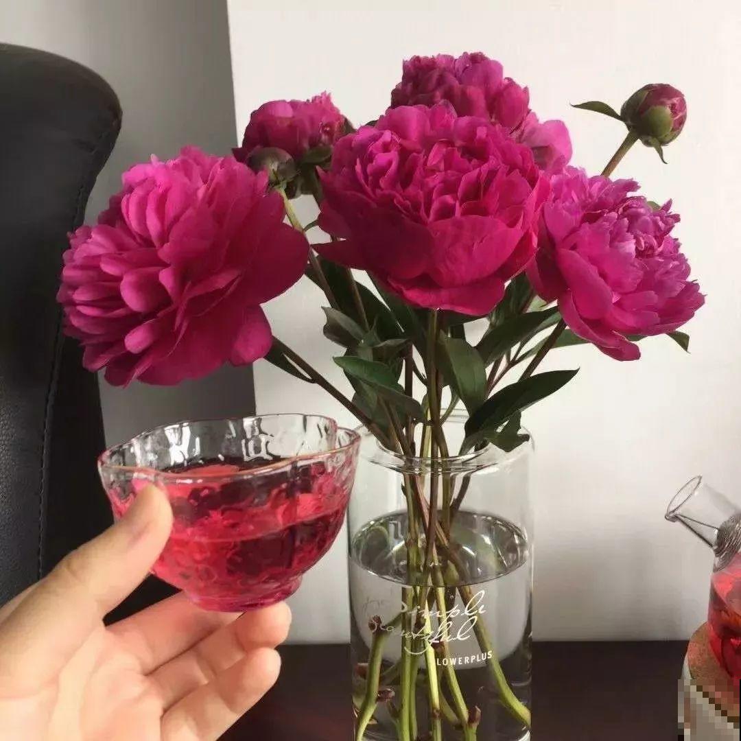 这种吉祥富贵花，秋天都要抢着养，错过再等一年！