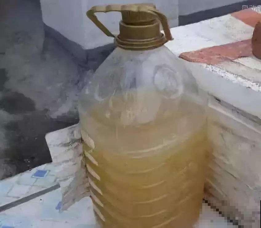 君子兰最喜欢的4种肥料，盆里掺一点，花开十朵都不是事！