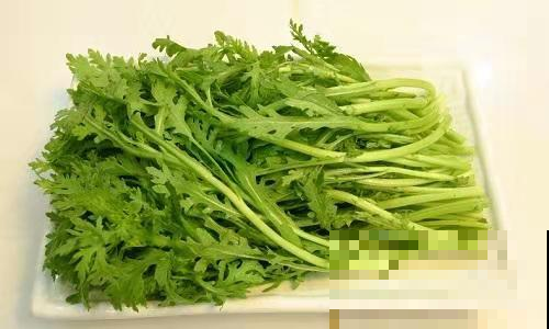 鲜嫩无比的茼蒿现在赶紧种，一年最好的时候，古代皇帝才有的口福