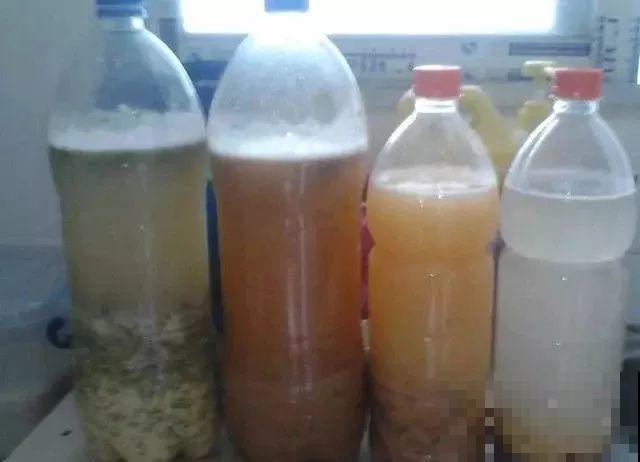 养花就怕乱浇水，这4种水浇得越多，死得越快！