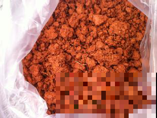 用尽办法也没扦插成功？老花农教你用泥浆一甩，立马插出大白根！