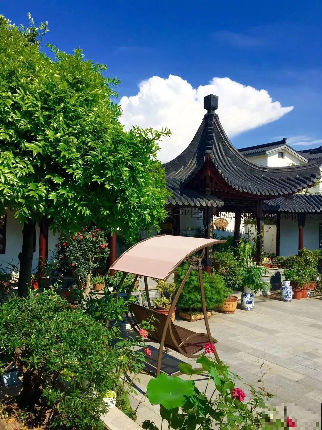 愿老来有个小院，养花种草，做一个幸福的养花奴！