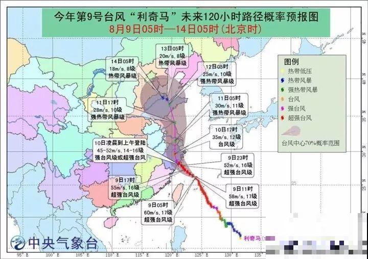 前有暴雨、后有台风，多肉泡水还有救不？