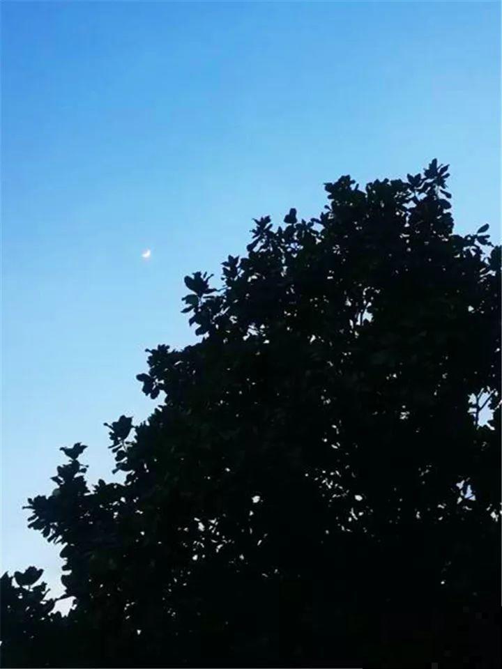 老了以后能干啥？有个小院种种花，悠闲自在！