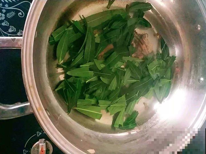 自从养了花，啥虫子没杀过，只要赶来总有几方法治！