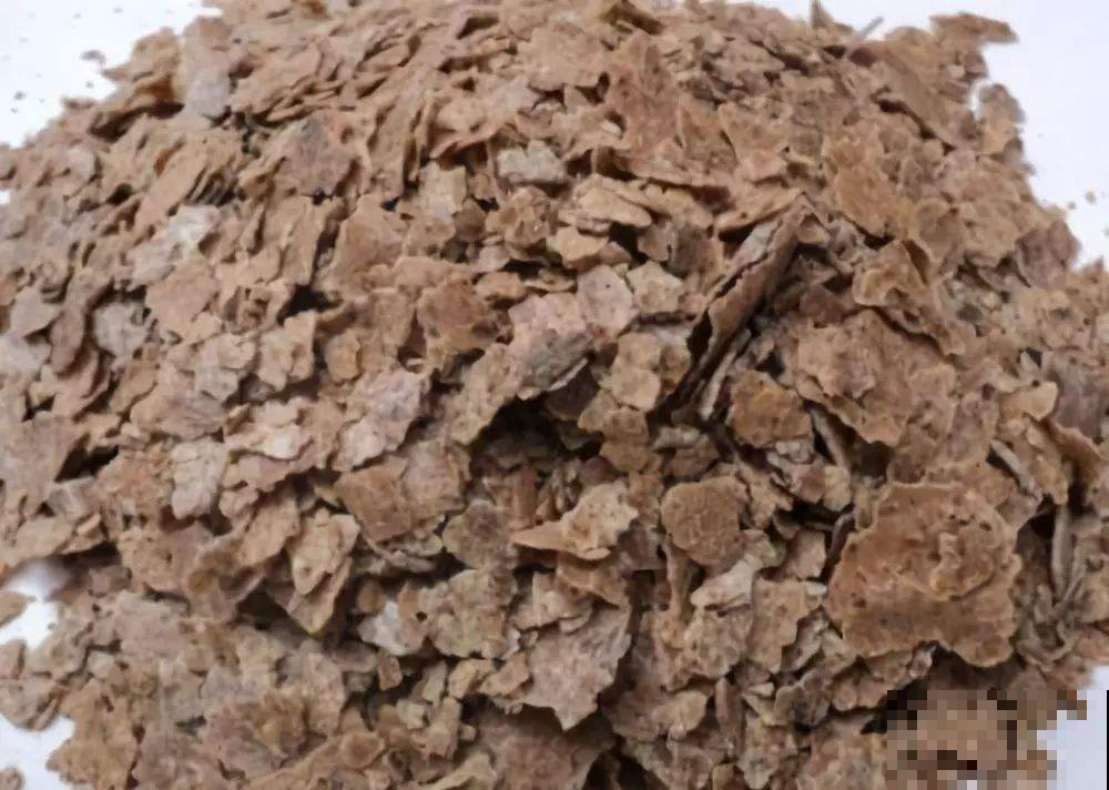 盆里挖个坑，埋上这种饼，黄叶枯叶立马消失不见！