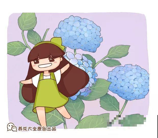 家里养这花，8月底必须剪，不然明年甭想赏花啦！