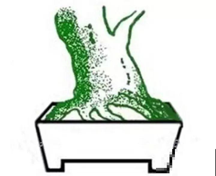 这8种花，拿棍子一绑凹个造型，身价嗖嗖往上翻！