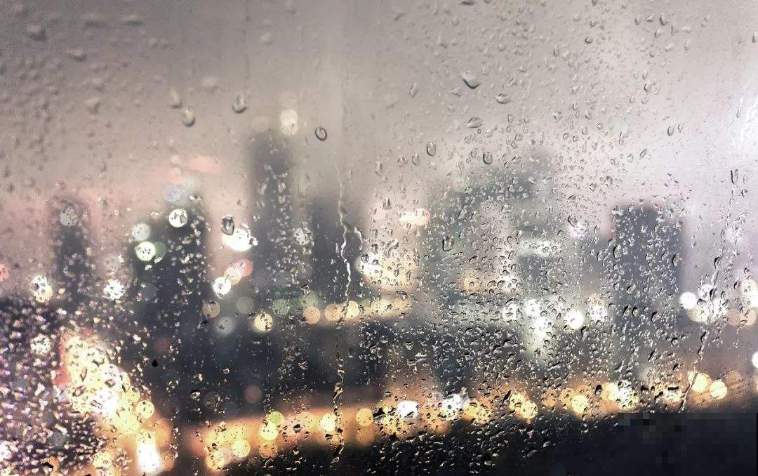 阴雨天养花要当心，这几点做好了，花才不得病、窜得快！