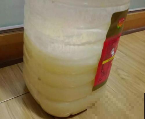 他给吊兰吃了这玩意，结果疯了一样乱窜，生了百八十个小吊兰！