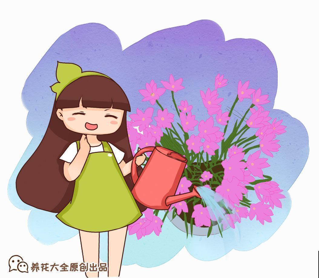 扔在门口的“韭菜”，竟然开出小百合，这花也太低调了！