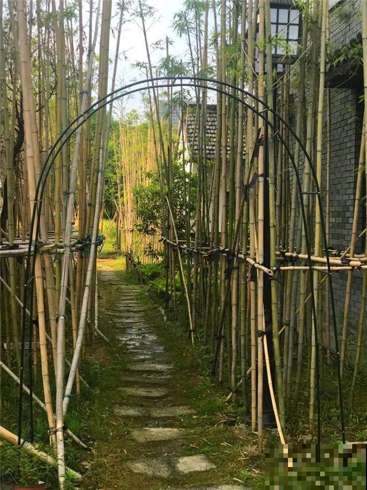 老了以后能干啥？有个小院种种花，悠闲自在！
