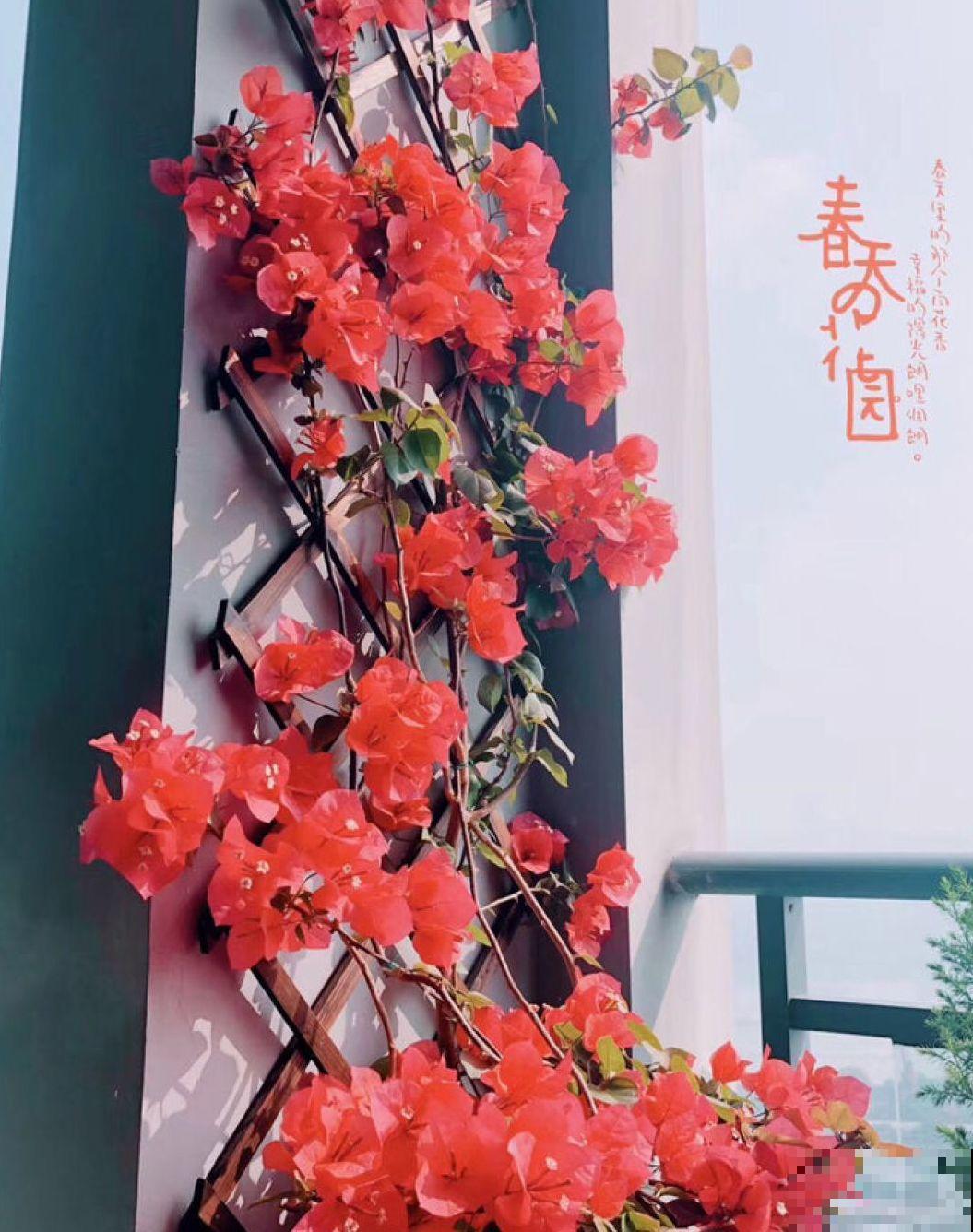 院子没有，自己动手改造一下小露台，花园梦还是可以实现的！