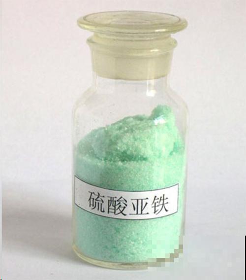 都知道用啤酒养花，但里面要是加点料，效果能翻倍！