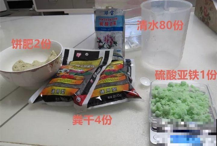 最难养2种的花，盆底垫上它，叶子油亮狂冒花苞！