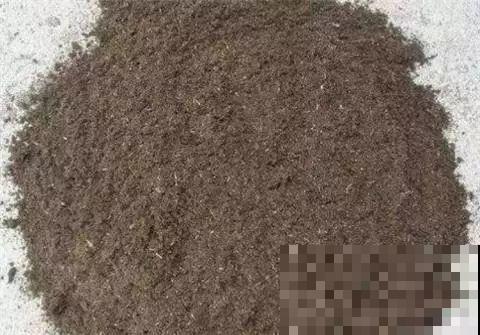 秋天说来就来，这花睡饱了一个夏天，是时候栽盆里了！