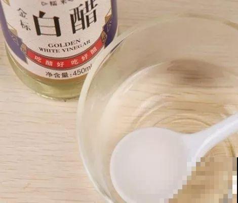 夏天养花黄叶子？赶紧剪一下，10天叶片绿的直滴油！