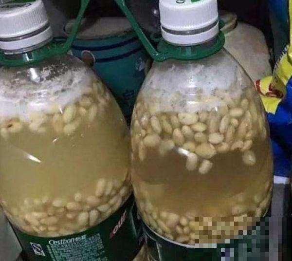 他给吊兰吃了这玩意，结果疯了一样乱窜，生了百八十个小吊兰！