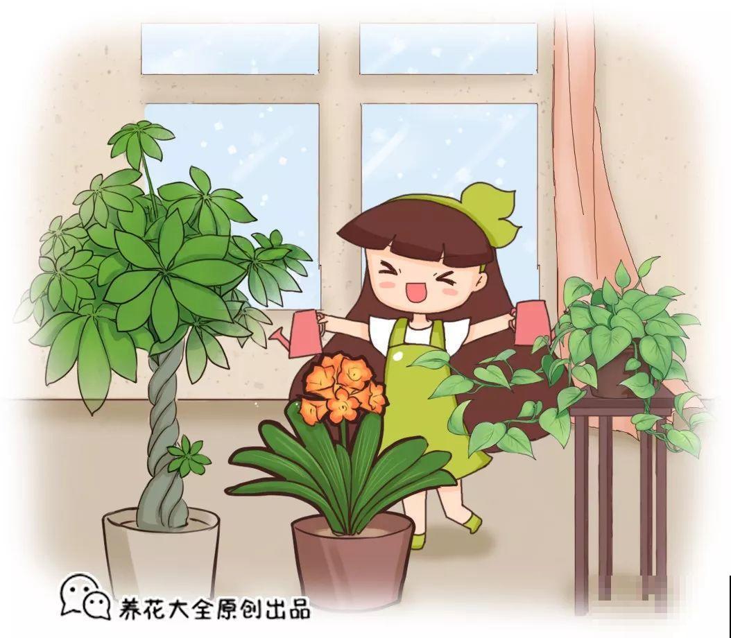 10个养花的坏习惯，赶紧改，不然真是浪费钱！