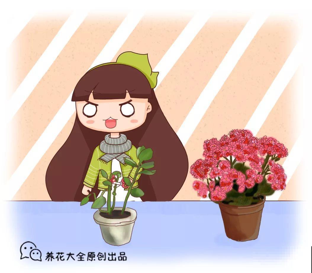 夏天养长寿，这4个雷区不能踩，不然3天就死光！