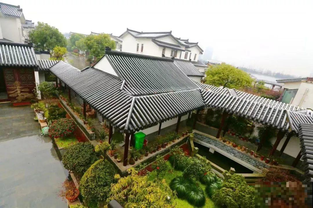 愿老来有个小院，养花种草，做一个幸福的养花奴！