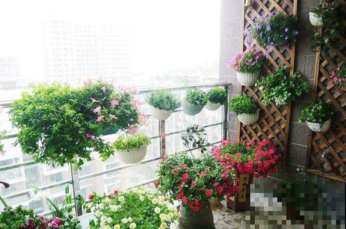 阳台的花都烤蔫了？给它穿件衣服，浇水遮阳都省了！