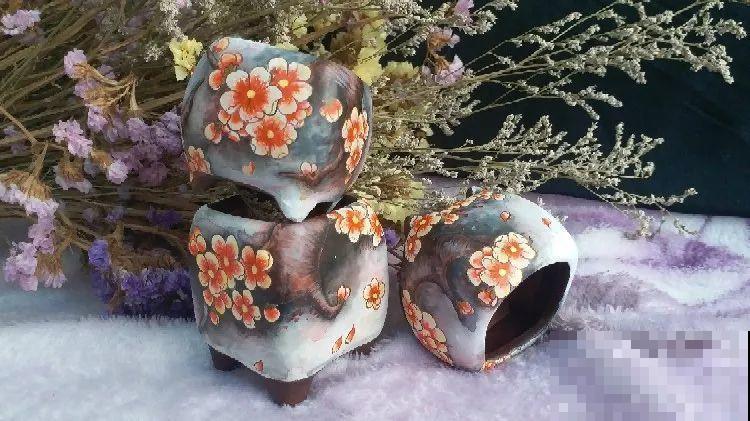 她家的花盆，比多肉数量还多，每一个盆都是一幅漂亮的画作！